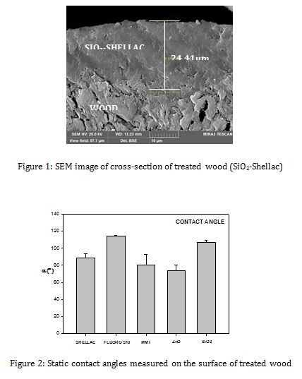 http://journals.sjp.ac.lk/public/site/images/apremawardhana/iiupst_proceedings_2012_article8_img1_537